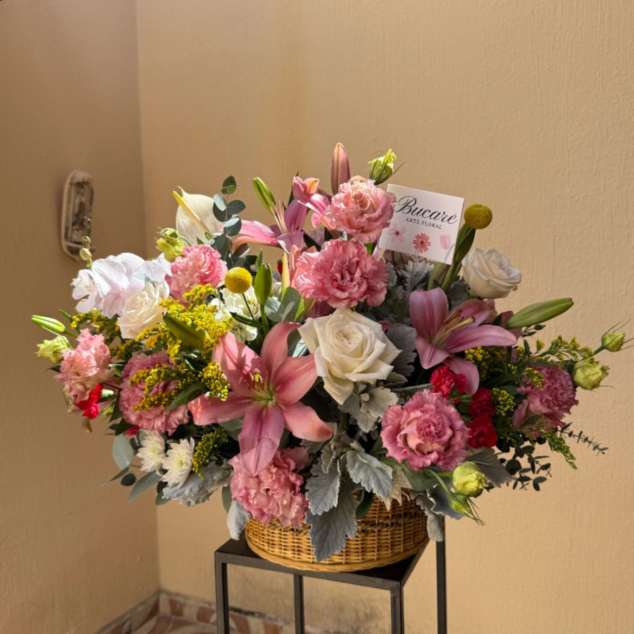 Canasta Pink & White