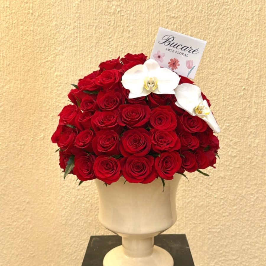 Copa 100 Rosas